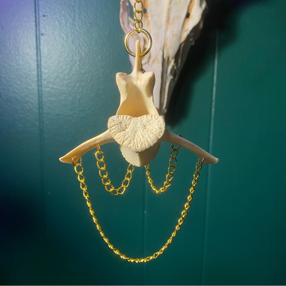 SOLD - Deer Vertebrae Bone Golden Chain Decoration - Picture 4 of 10